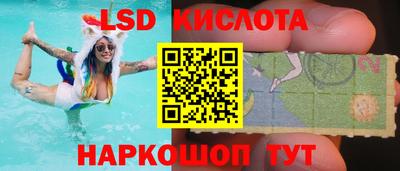 шишки Лесосибирск