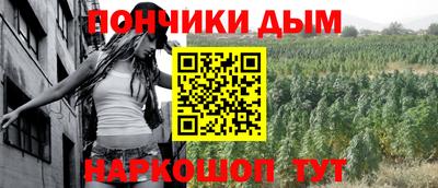шишки Лесосибирск
