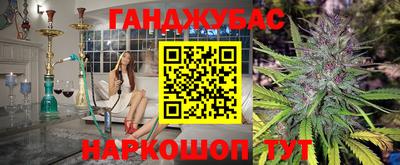 шишки Лесосибирск
