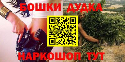 шишки Лесосибирск