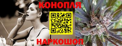 шишки Лесосибирск