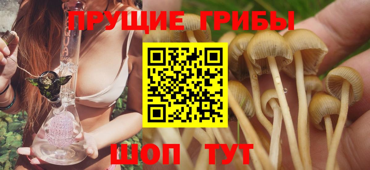 Галлюциногенные грибы прущие грибы  Вход с VPN  даркнет сайт  Вичуга 